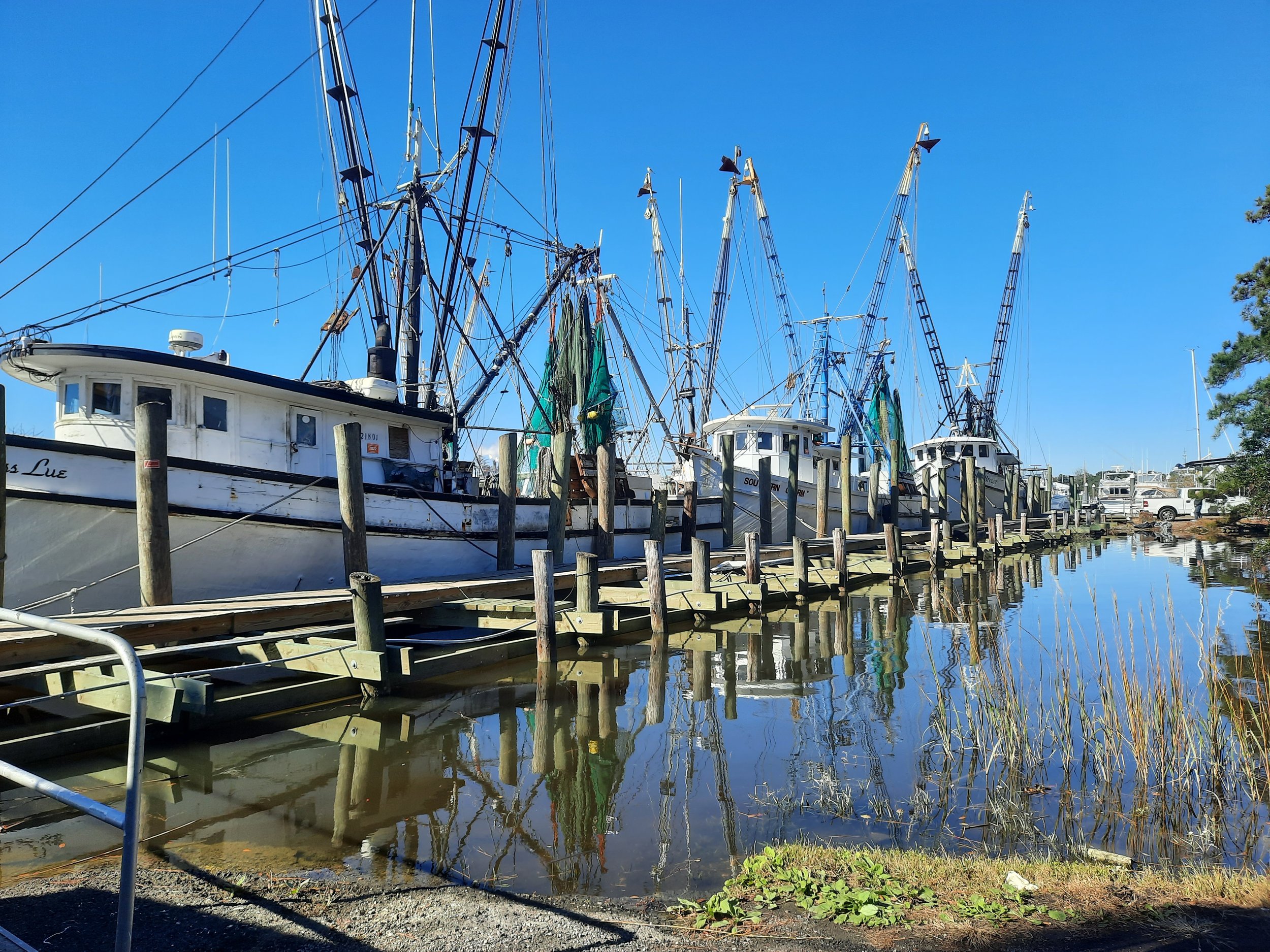 Shrimp+boats Gullah Geechee Seafood Trail
